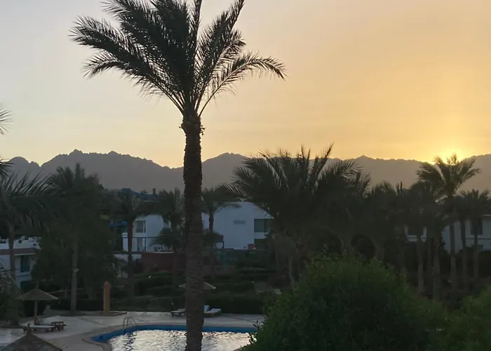 Unique Sunset *